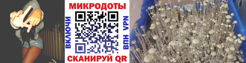 Псилоцибиновые грибы GOLDEN TEACHER  Новочебоксарск 